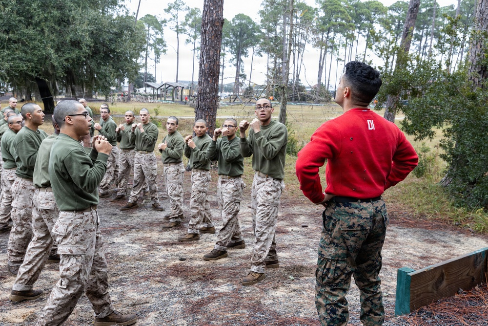 Alpha Company Confidence Course