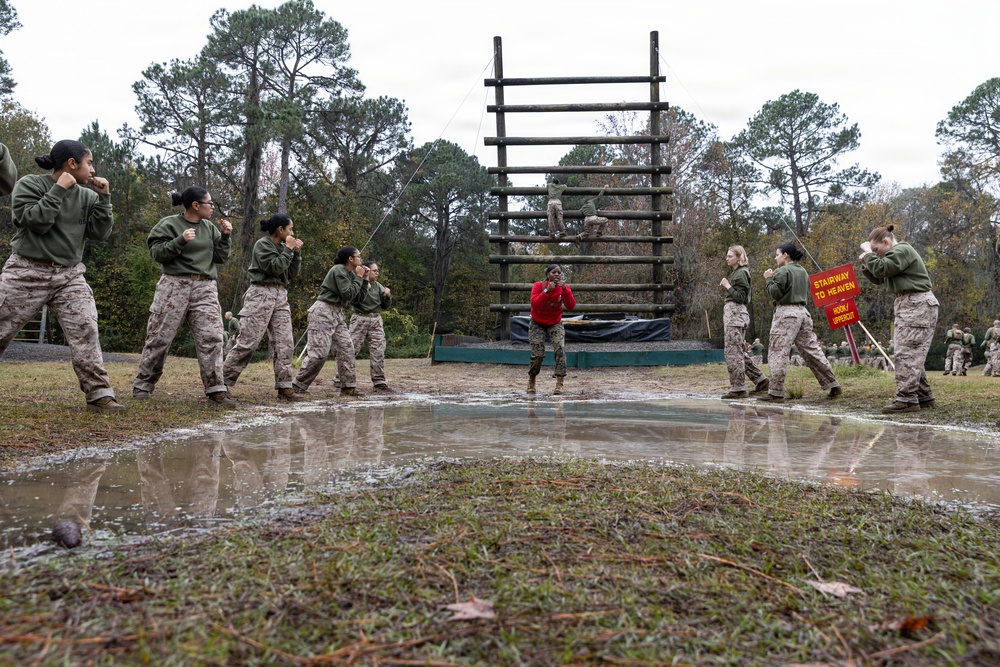 Alpha Company Confidence Course