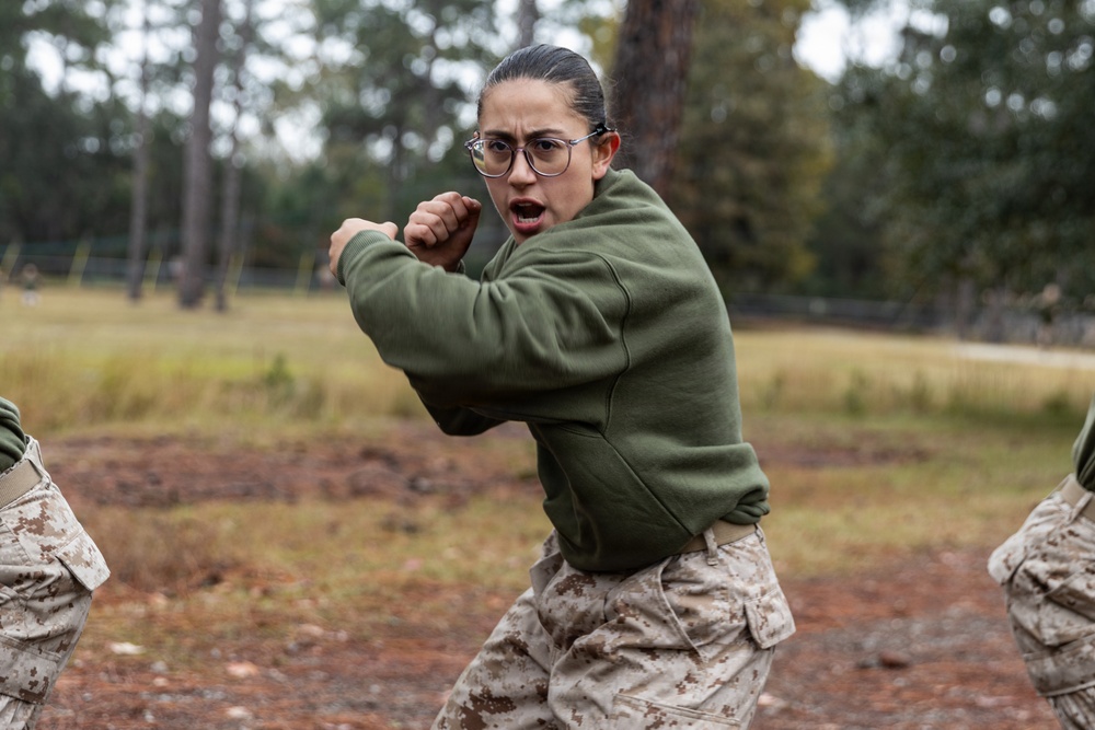 Alpha Company Confidence Course