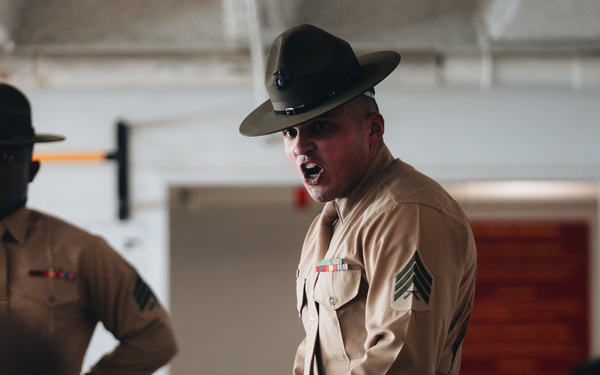 Echo Company Pickup Day