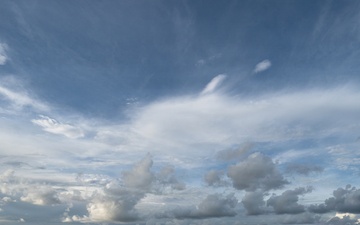 Biscayne Bay Coastal Wetlands Project