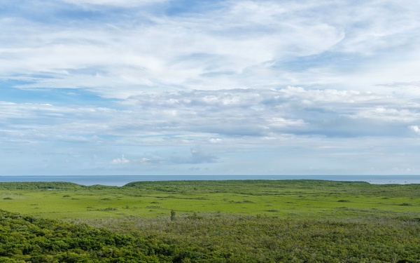Biscayne Bay Coastal Wetlands Project