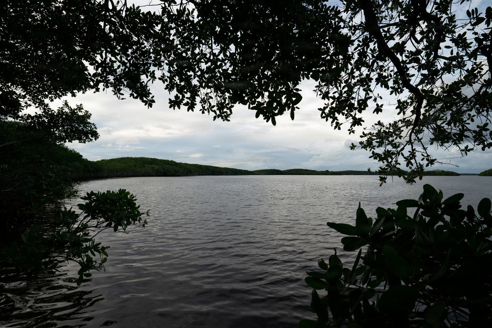 Biscayne Bay Coastal Wetlands Project