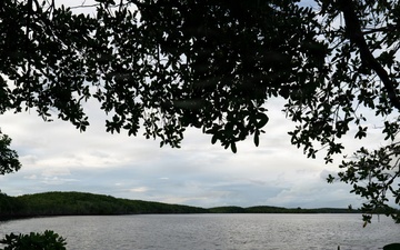 Biscayne Bay Coastal Wetlands Project