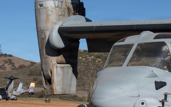 Steel Knight 25: Knight Riders, Purple Foxes support Air-Delivered Ground Refueling