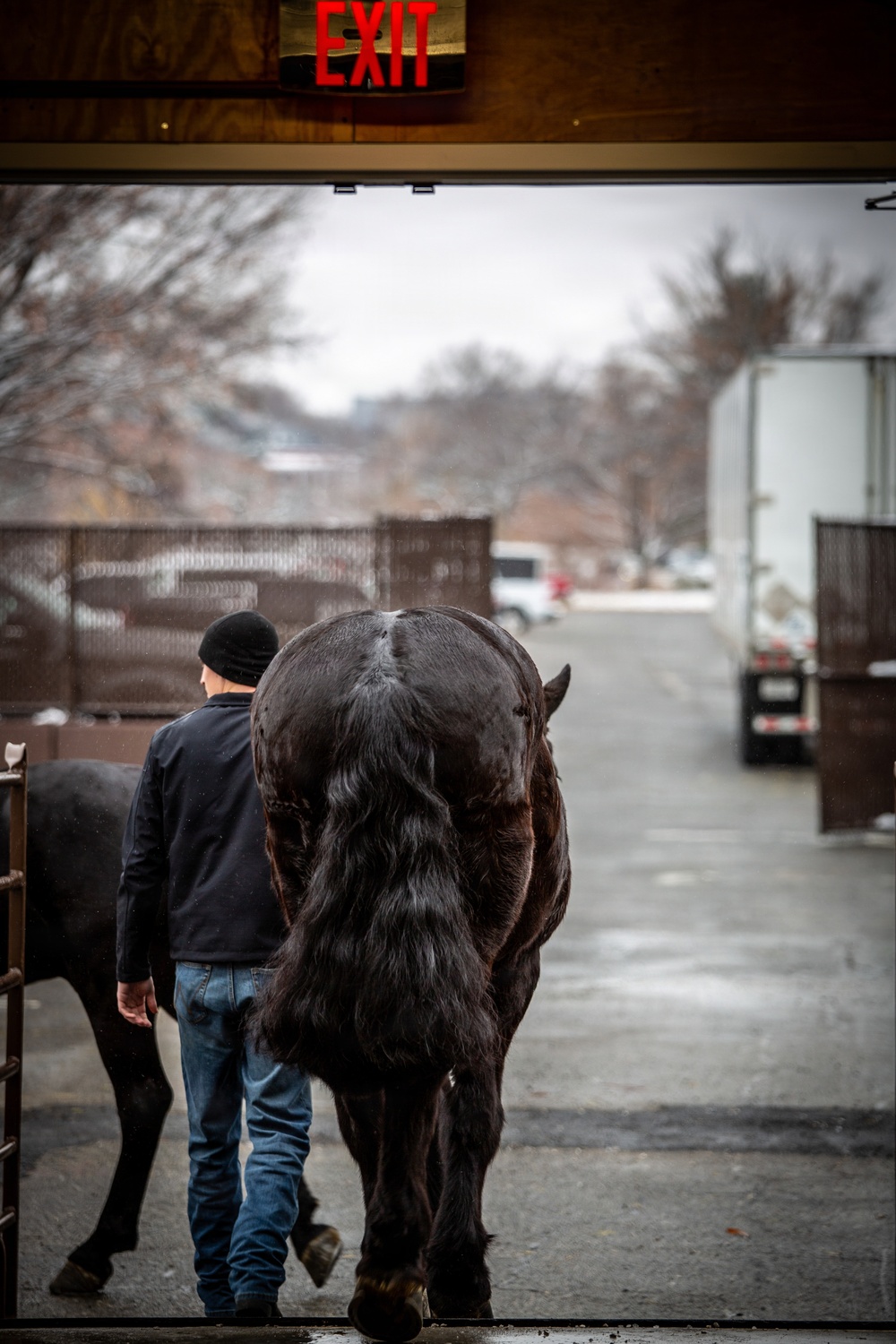 Old Guard Horses Begin Operations in New Interim Stables