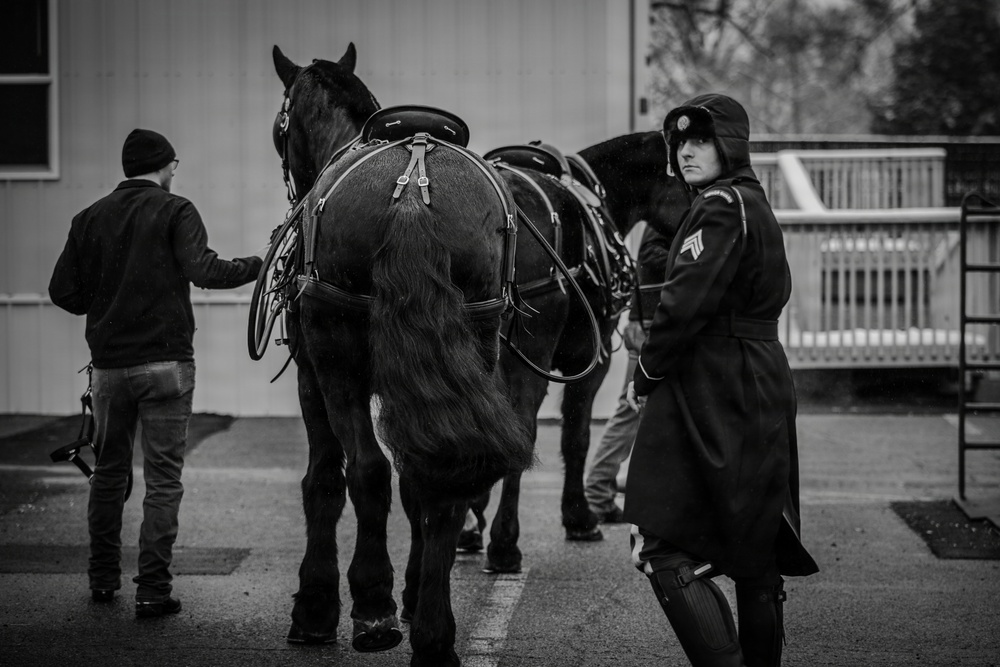 Old Guard Horses Begin Operations in New Interim Stables