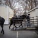 Old Guard Horses Begin Operations in New Interim Stables