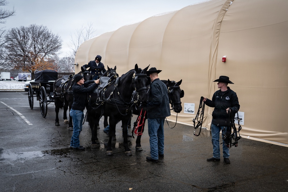 Old Guard Horses Begin Operations in New Interim Stables
