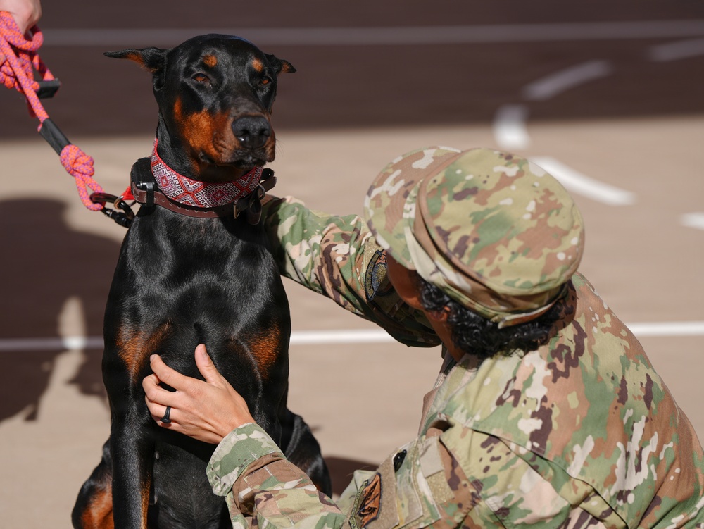 Paws Against Violence: Creech AFB Raises Awareness Through Community and Pets