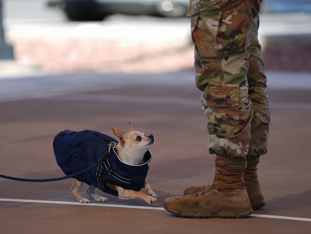 Paws Against Violence: Creech AFB Raises Awareness Through Community and Pets
