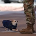 Paws Against Violence: Creech AFB Raises Awareness Through Community and Pets