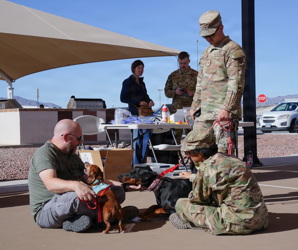 Paws Against Violence: Creech AFB Raises Awareness Through Community and Pets
