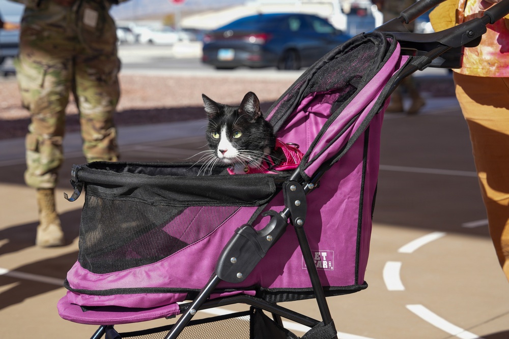 Paws Against Violence: Creech AFB Raises Awareness Through Community and Pets