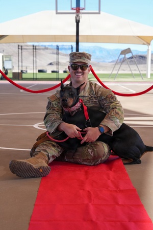 AFN Aviano Radio News: Red Cross Animal Visitation Program