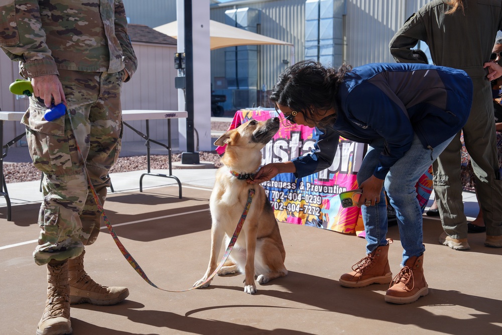 Paws Against Violence: Creech AFB Raises Awareness Through Community and Pets