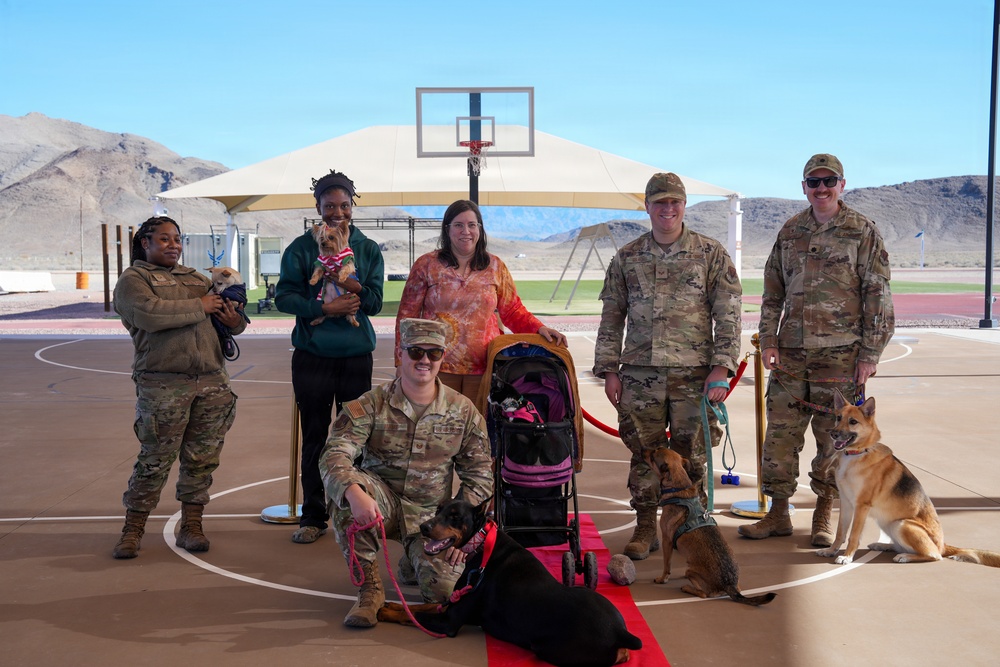 Paws Against Violence: Creech AFB Raises Awareness Through Community and Pets