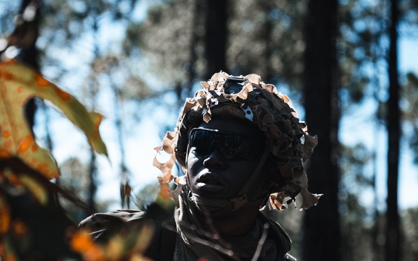 Special Operations Forces Train With Conventional Units During Validation Exercise