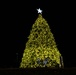 Whiteman Christmas Tree Lighting 2025