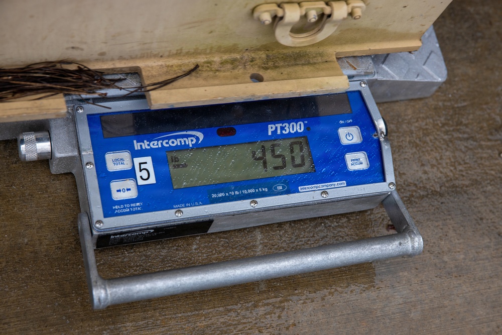 II MSB Mobility Exercise