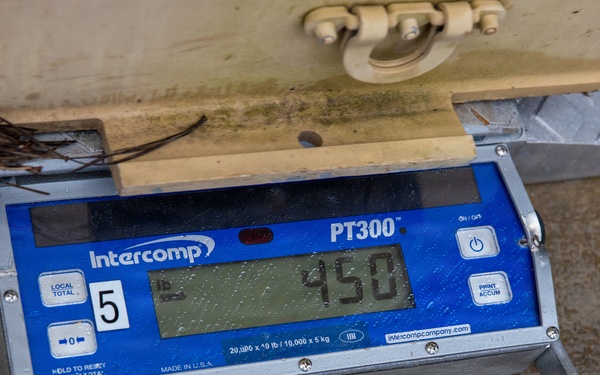 II MSB and 8th CEB gear load