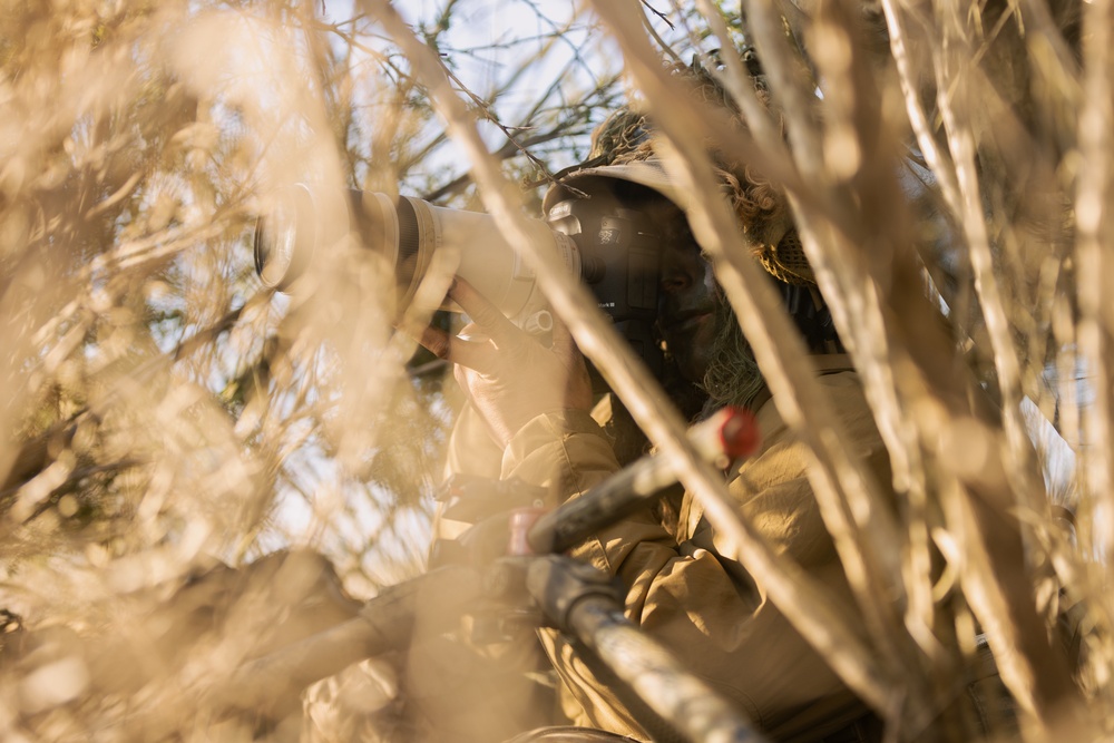 U.S. Marines with 1st Recon Bn. conduct reconnaissance, surveillance during Steel Knight 25