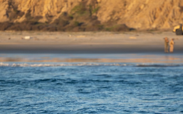 11th MEU Conducts ACV Water Integration Training Program and Surf Qualification