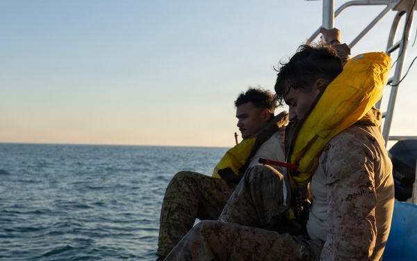 11th MEU Conducts ACV Water Integration Training Program and Surf Qualification
