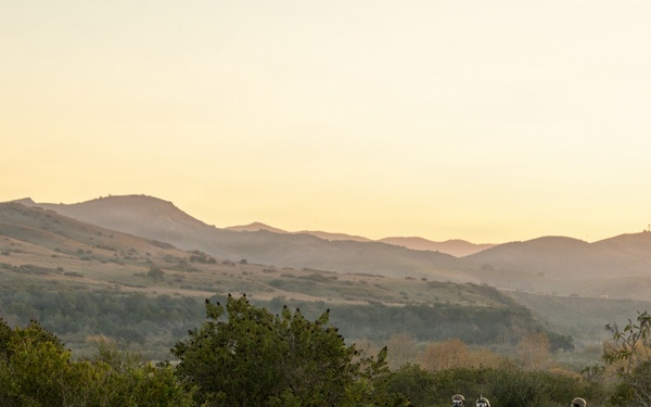 1st Bn., 11th Marines conduct simulated casualty drill during Steel Knight 25