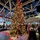 Fort McCoy kicks off holiday season with 2025 Tree Lighting Ceremony Fort McCoy kicks off holiday season with 2025 Tree Lighting Ceremony