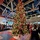 Fort McCoy kicks off holiday season with 2025 Tree Lighting Ceremony Fort McCoy kicks off holiday season with 2025 Tree Lighting Ceremony