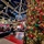 Fort McCoy kicks off holiday season with 2025 Tree Lighting Ceremony Fort McCoy kicks off holiday season with 2025 Tree Lighting Ceremony