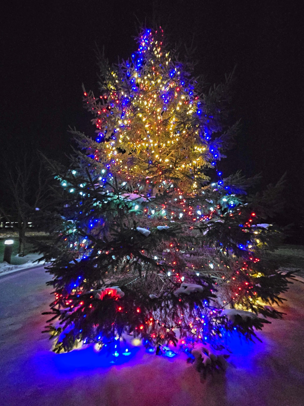 Fort McCoy kicks off holiday season with 2025 Tree Lighting Ceremony