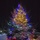Fort McCoy kicks off holiday season with 2025 Tree Lighting Ceremony Fort McCoy kicks off holiday season with 2025 Tree Lighting Ceremony