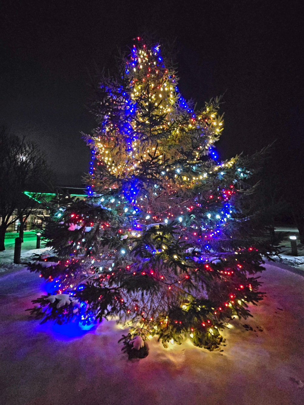 Fort McCoy kicks off holiday season with 2025 Tree Lighting Ceremony