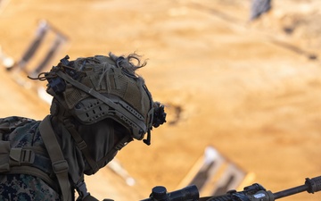 Korea Viper 26.1 | 4th Marines Conduct Live Fire Range