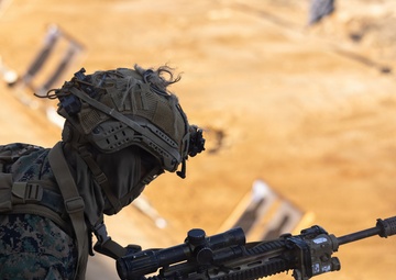 Korea Viper 26.1 | 4th Marines Conduct Live Fire Range