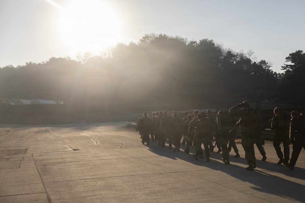 Korea Viper 26.1 | 4th Marines Conduct Live Fire Range
