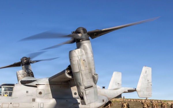 Steel Knight 25: Greyhawks conduct ADGR, troop transport