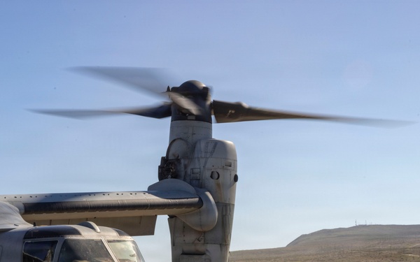 Steel Knight 25: Greyhawks conduct ADGR, troop transport