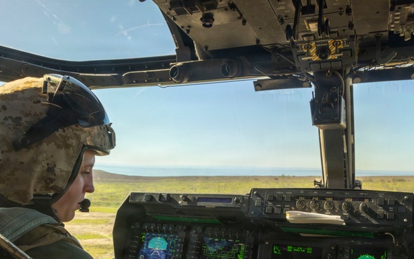 Steel Knight 25: Greyhawks conduct ADGR, troop transport