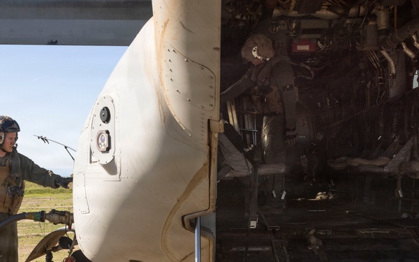 Steel Knight 25: Greyhawks conduct ADGR, troop transport