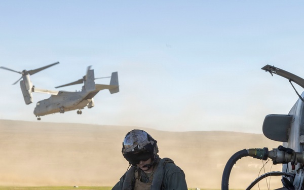 Steel Knight 25: Greyhawks conduct ADGR, troop transport