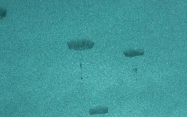 Sky Soldiers Airborne Operation