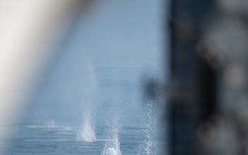 USCGC Clarence Sutphin Jr. (WPC 1147) LIVE FIRE EXERCISE