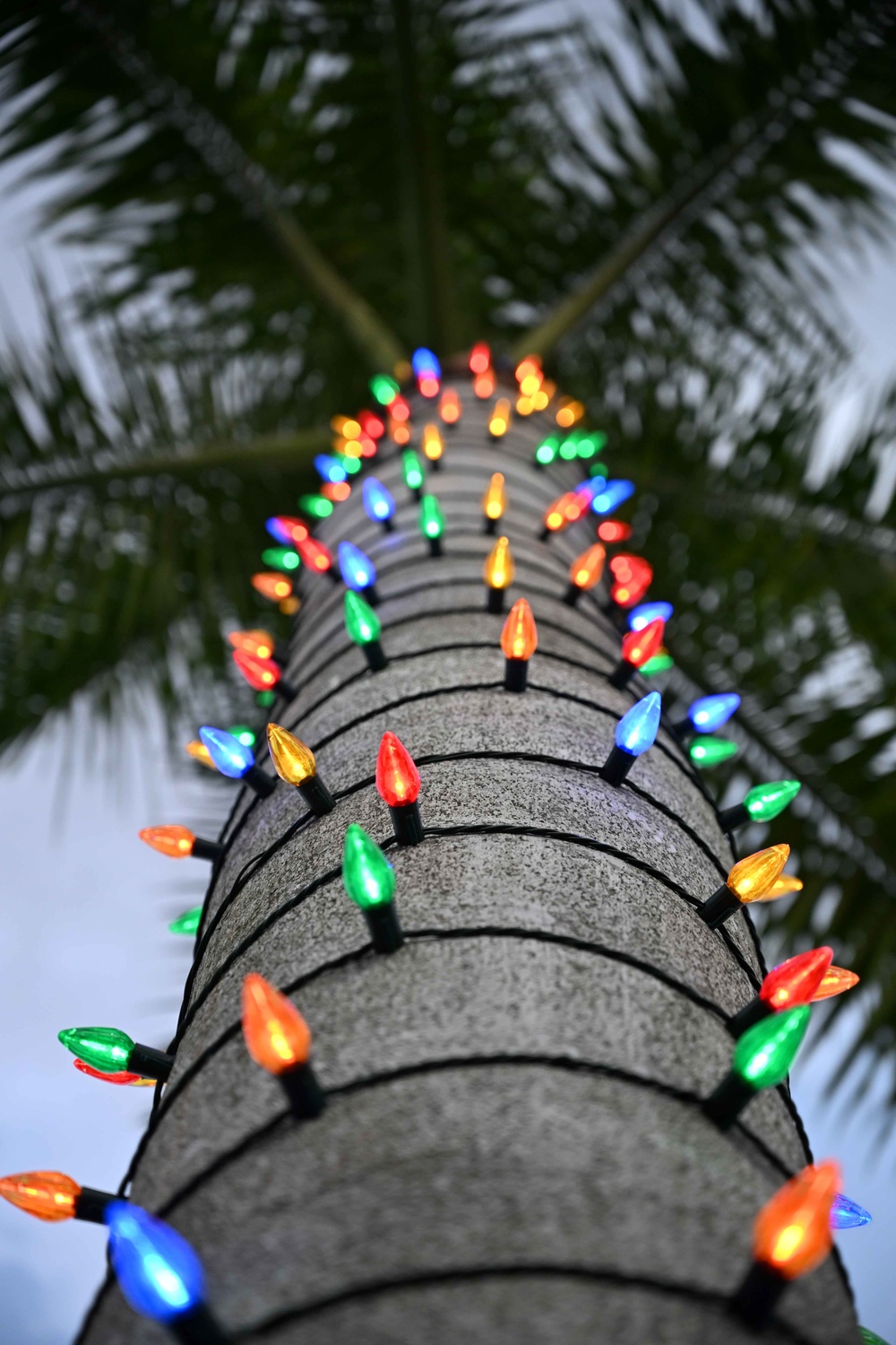 U.S. Army Garrison-Miami MWR Jolly Jamboree