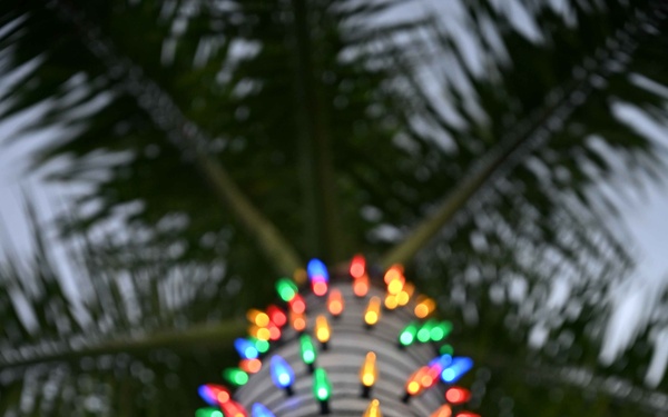 U.S. Army Garrison-Miami MWR Jolly Jamboree