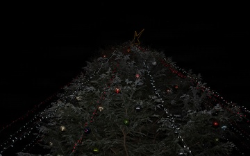 Lighting Up The Holiday Season