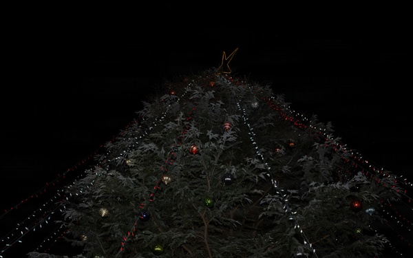 Lighting Up The Holiday Season