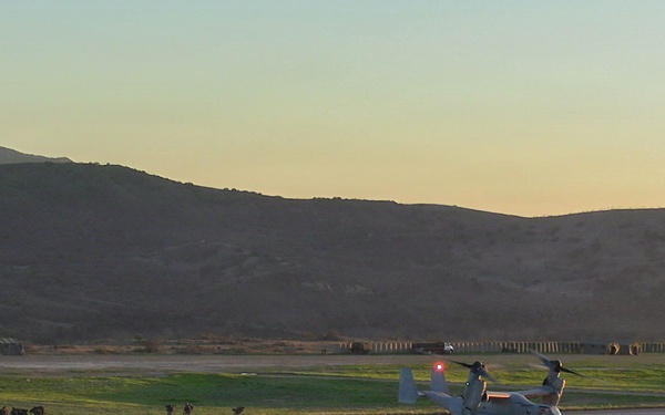 1st Bn., 5th Marines arrive at Pendleton during Steel Knight 25